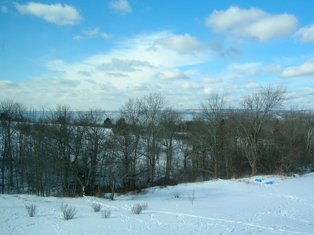 Bay view-Jan-2014.JPG