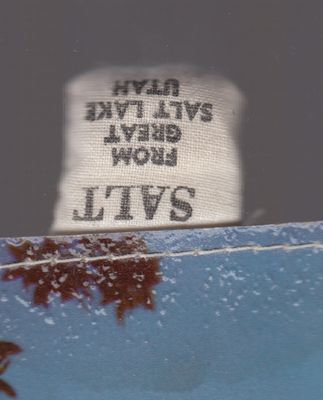 POST CARD SALT LAKE SALT 1.jpeg